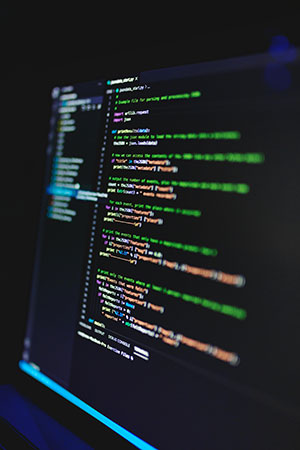 Web Development